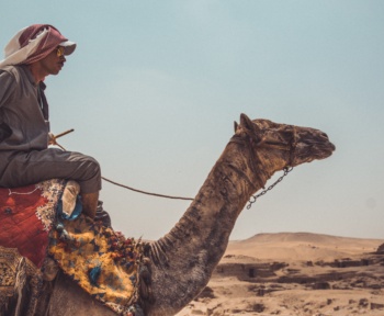 Arab man traveling on a camel