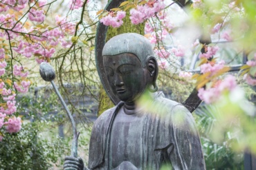 budha statute in a flowery background